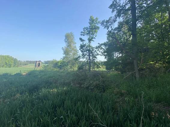 Prodej Pozemek, Doňov, okres Jindřichův Hradec