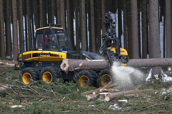 Lesní těžba dřeba a výroba dřevěných domů - Havlíčkův Brod | Pila Rozsochatec