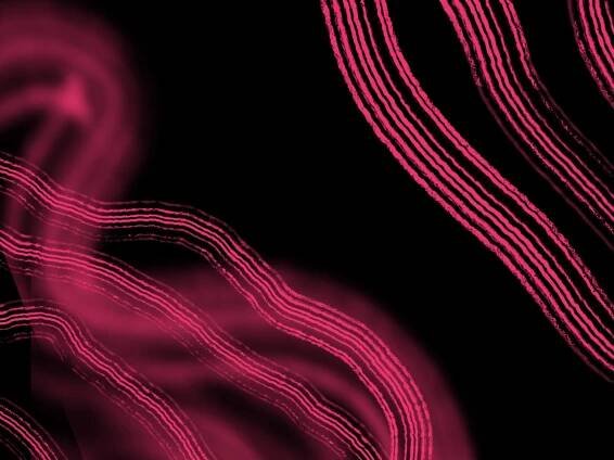 Black background with wavy pink lines in bright cerise. Behind them are blurred lines of the same colour giving the impression of motion.