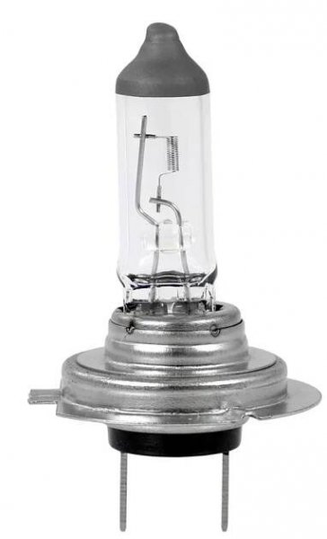 M-Tech Basic Halogen H7 12V 55W