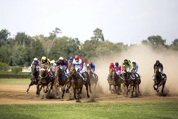 Kvalifikace na Velkou pardubickou | foto: Tomáš Kubelka