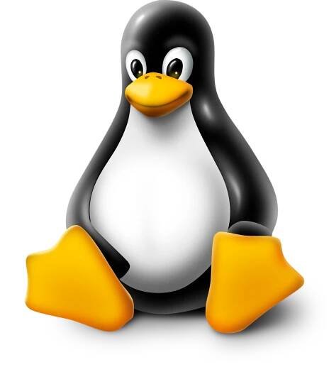 HTOP für Linux installieren