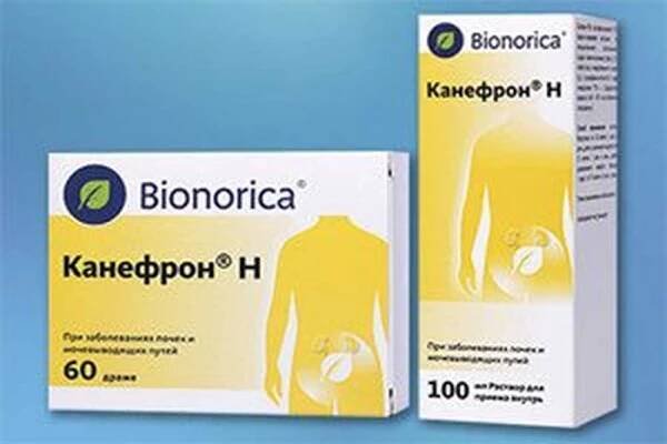Léčba pyelonefritických lidových léků / Pyelonefritida | Užitečné informace a tipy na péči o sebe. Zdraví, výživa a další