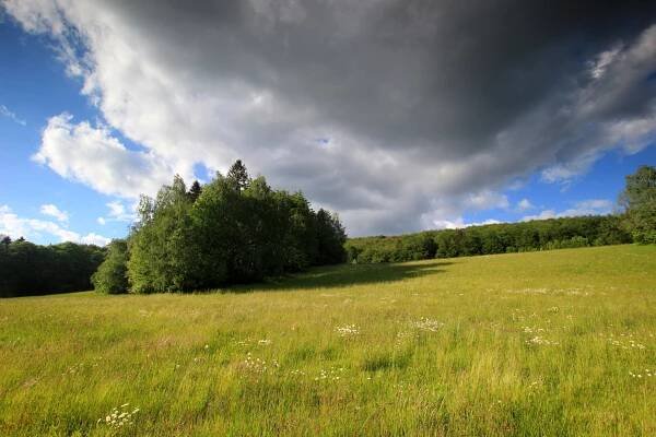 Jestřebí hory - louky pod Žaltmanem 