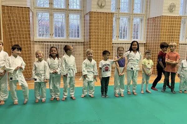 Judo Best Motion foto 1