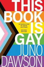 Why should you read “This Book Is Gay”? Diversity Book Review [2024 DEI Resources]