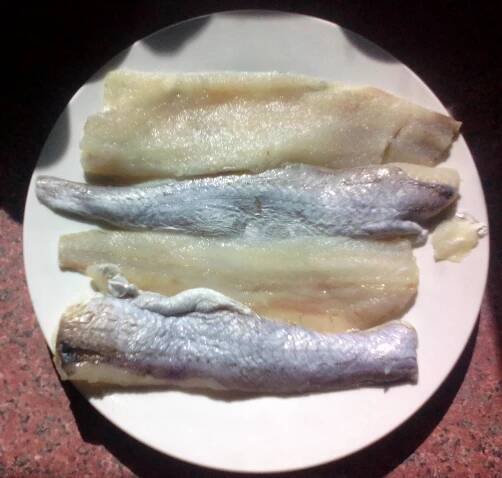 Southern blue whiting