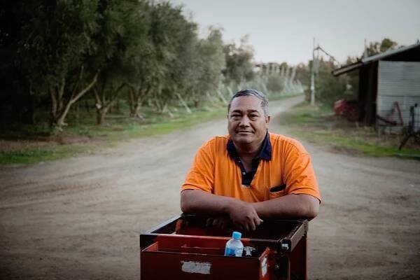 Resident of Shepparton Victoria facilitating orchard and workers