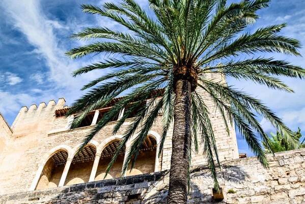 Dovolená ve Španělsku: Palma de Mallorca je jednou z perel Baleárských ostrovů