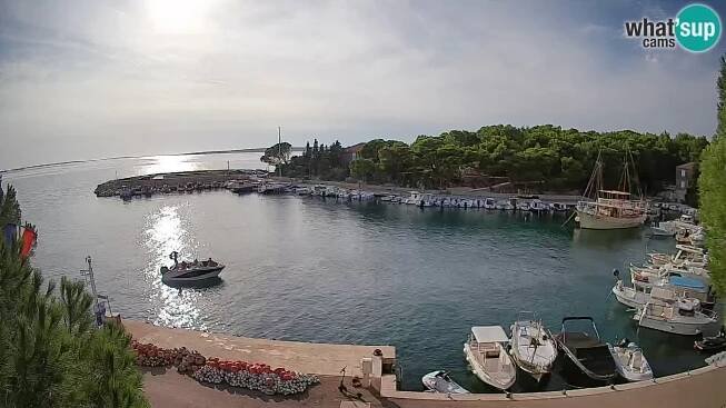 Webcam Mandre (Pag): Marina Mandre - Webcam Galore