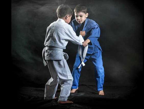 Judo Best Motion foto 1