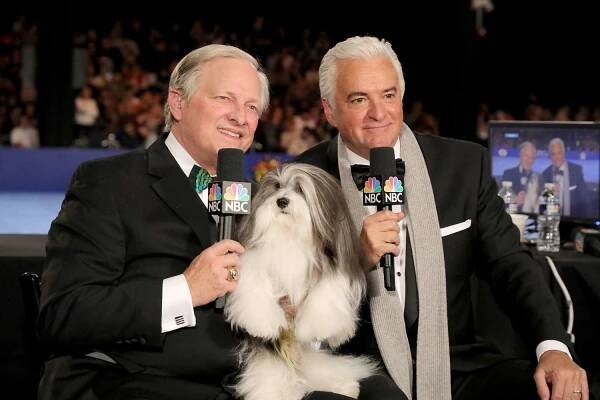 Hosts David Frei and John O'Hurley Will Be Watching the National Dog Show from Home—Just Like Us