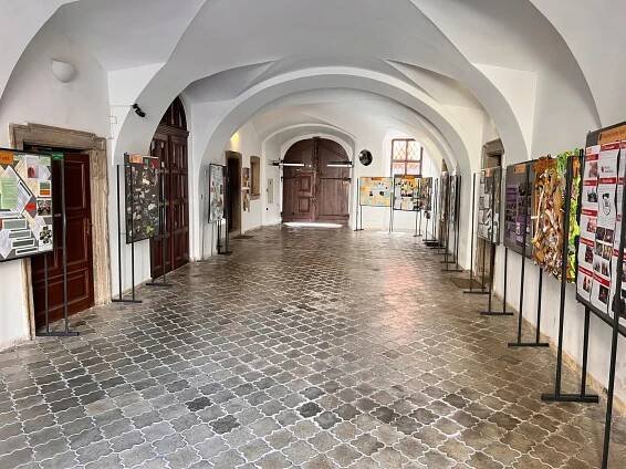 Na biskupství se představila jednotlivá oddělení i organizace plzeňské diecéze - Diecéze plzeňská 