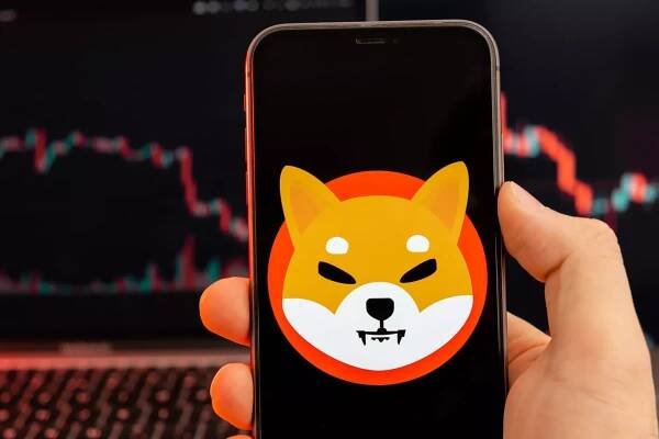Shiba Inu SHIB kryptoměna logo na obrazovce smartphonu v ruce muž s klesajícím trendem na grafu na červeném pozadí, Únor 2022, San Francisco, USA — Stock obrázek