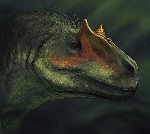 t rex on Tumblr