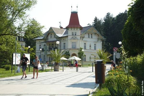 špaček Foto - Luhačovice 2021
