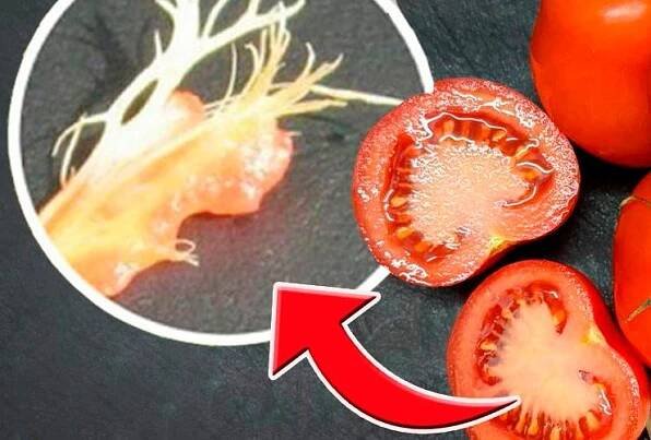 🍅 Proč se v rajčatech objevují bílé žilky a jak tomu předejít: rady od zkušených pěstitelů - Zdrave