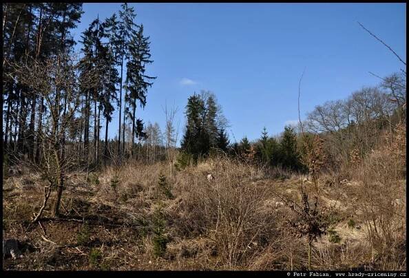Horní Lhotice – horní hrádek – fotografie / hrady-zriceniny.cz