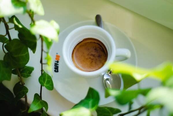 Caffe 08 Primagas
