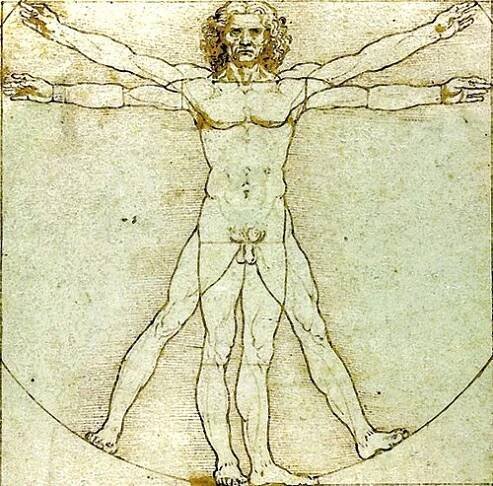 Datei:Da Vinci Vitruve Luc Viatour 2.svg – Wikipedia