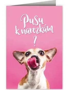 Nekupto Přání k narozeninám - Pusa