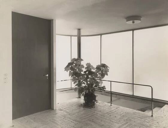Dům - Vila Tugendhat
