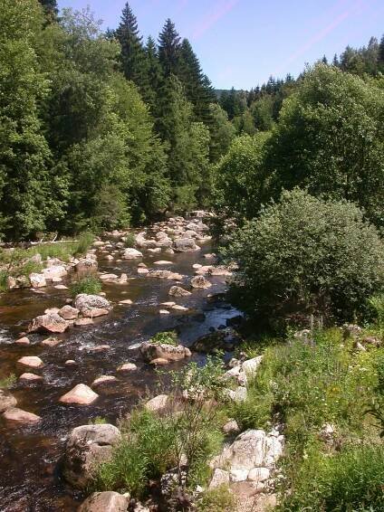 Kořenov