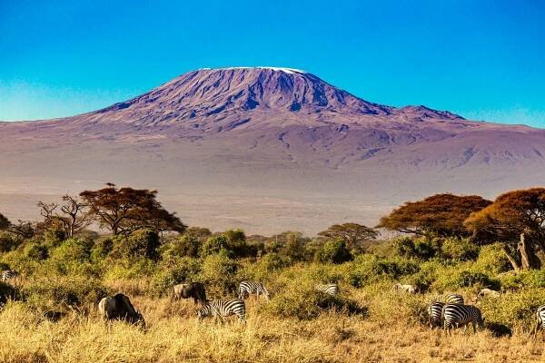 12 Day Safari — Red Rhino Tours