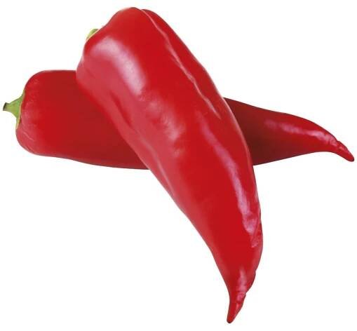 Paprika kapie červená