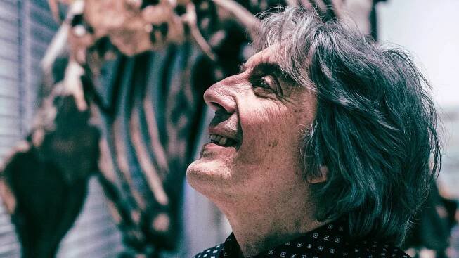 Česko-kanadská cesta do pravěku. Jan Sovák prorazil ilustracemi dinosaurů k Jurskému parku, nyní má na kontě stovky publikací i spolupráci s National Geographic
