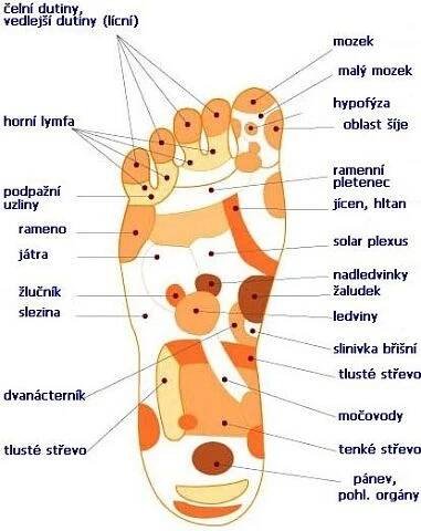 Biomechanické aktivní stélky (vložky) do bot a zdravotní boty Hanák - dámská, pánská a dětská obuv J HANÁK R®