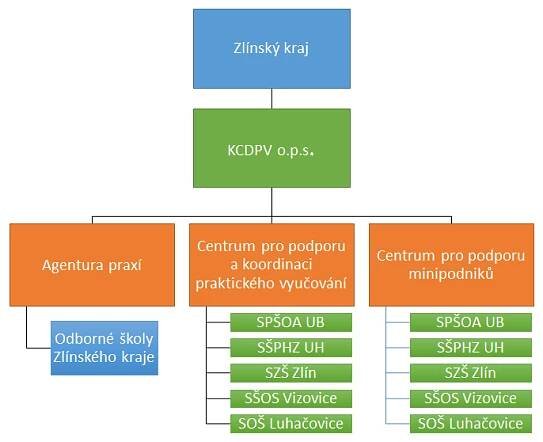 Organizacni_struktura