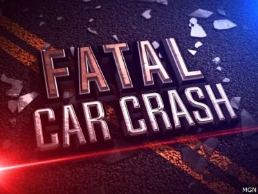 Tree falls on vehicle in Chickasaw County killing 2 people, injuring 2 others