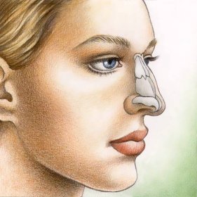 Plastika nosu-průběh operace | Precizia