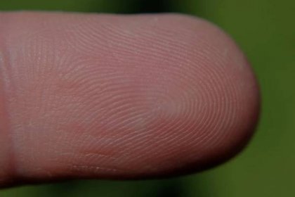 New Galaxy S5 Rumor: Fingerprint Sensor Delayed
