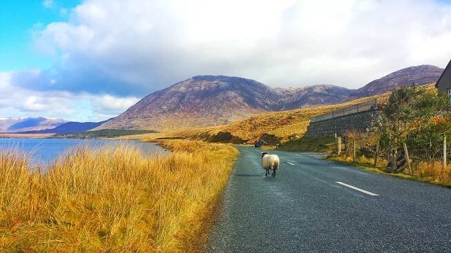 Národní park Connemara, perla Irska - Cestování.cz 