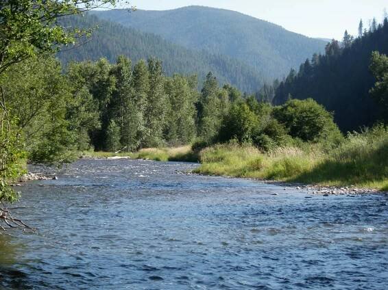 Filingo Fly Fishing | Eye Candy