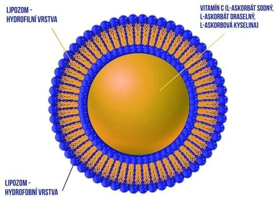 Liposomal Vitamin C 1000 mg 250 ml pomeranč (Lipozomální vitamín C)