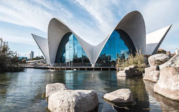 Oceanografic Valencia Travel Guide