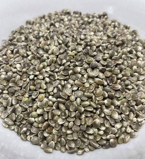 Herbalus Konopné semínko neloupané 250g - HledejCBD.cz