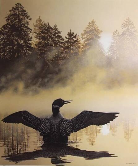Ron Parker Misty Dawn Loon