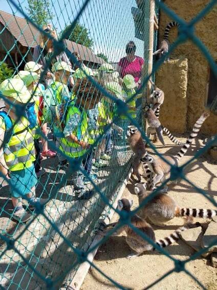 MŠ Berušky – Zoo Vyškov 2023 | ZŠ a MŠ Němčany