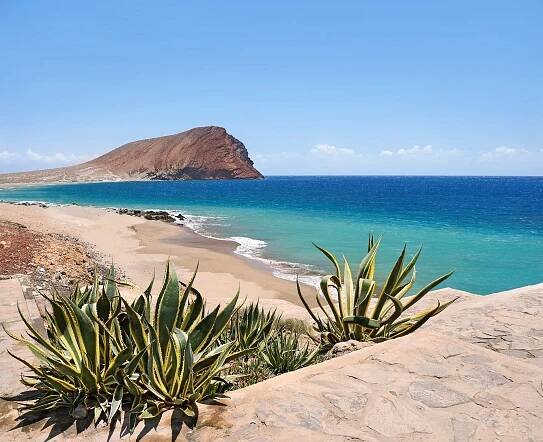 A stunning view of a sandy beach with vibrant sea and a rocky outcrop in Tenerife, inviting exploration and relaxation | MSC Cruises