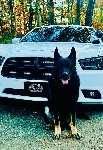 Honoring K-9 Logan: A True American Hero