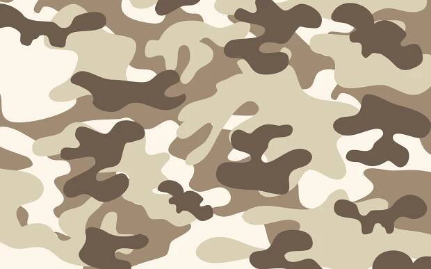 Pastel Cream and Brown Camouflage Background