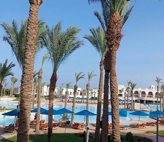 PICKALBATROS OASIS HOTEL - PORT GHALIB - Updated 2025 Prices & Reviews (Egypt)