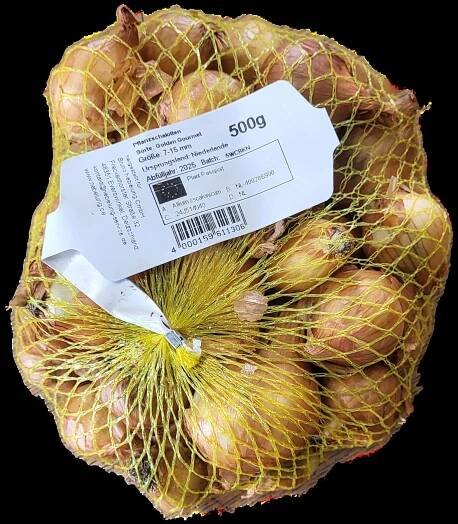 Cibule sazečka šalotka Golden Gourmet 0,5 kg | Zahradnictví Hájek