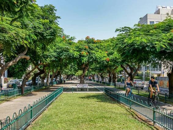 A stroll down Rothschild Boulevard