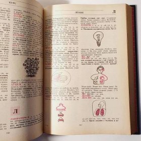 Ruština: učebnice, slovníky (6 ks) - Učebnice