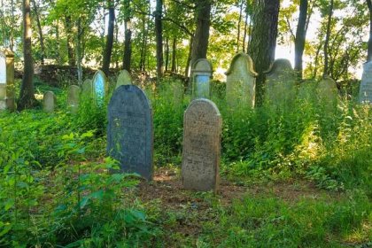 Soubor:Židovský hřbitov v Habrech 05.jpg – Wikipedie